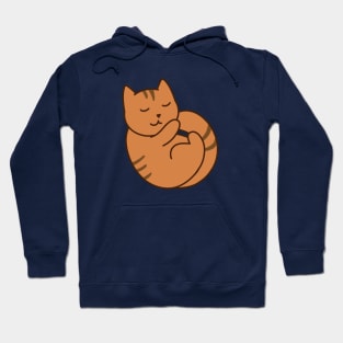 Sleeping Brown Cat Hoodie